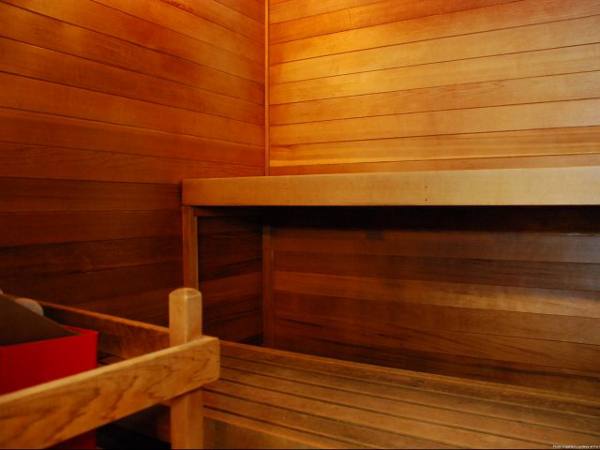 sauna at Onyx Apartments
