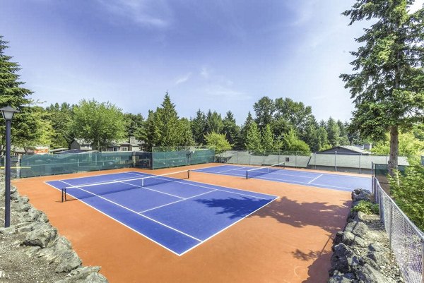 Outdoor tennis court at Onyx Apartments, a luxury Greystar community