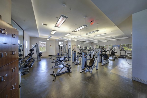 State-of-the-art fitness center with modern equipment at Solle Davie Luxury Apartments