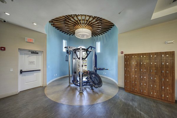 State-of-the-art fitness center with modern equipment at Solle Davie Luxury Apartments