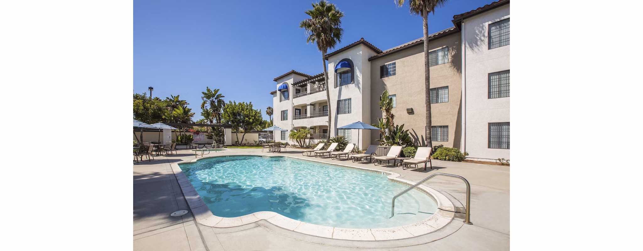 Luxurious pool surrounded by palm trees at Hacienda Vallecitos Apartments