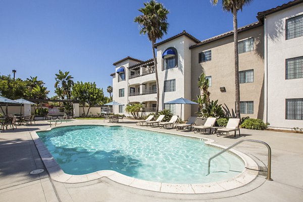 Luxurious pool surrounded by palm trees at Hacienda Vallecitos Apartments
