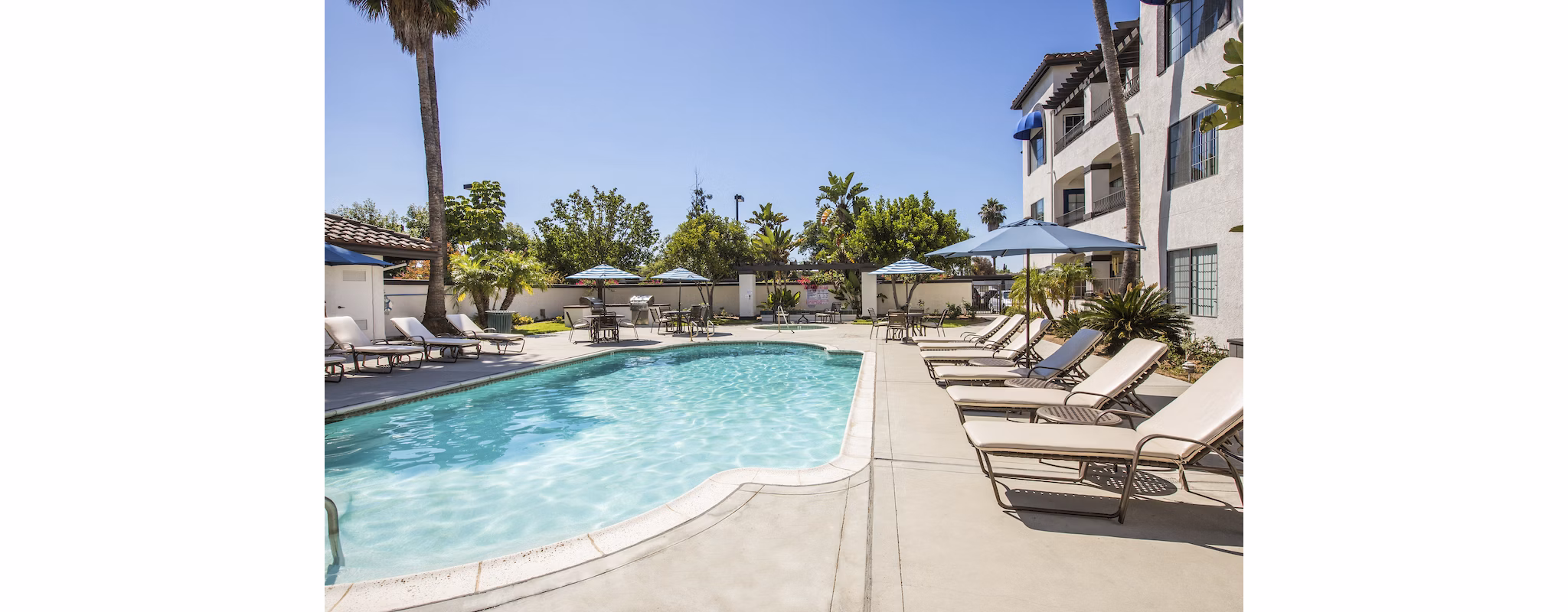 Hacienda Vallecitos Apartments: Luxurious pool surrounded by palm trees