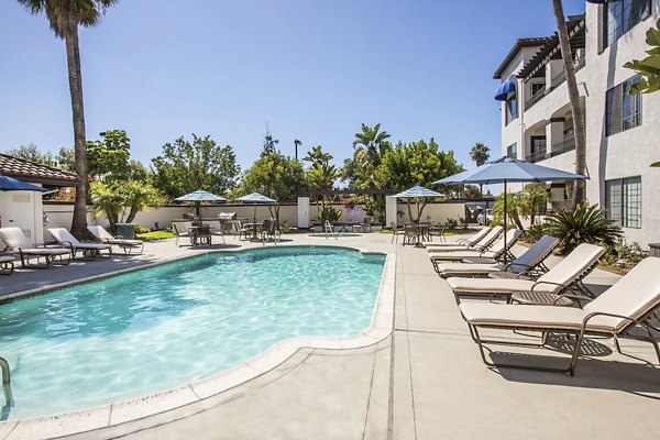 Hacienda Vallecitos Apartments: Luxurious pool surrounded by palm trees