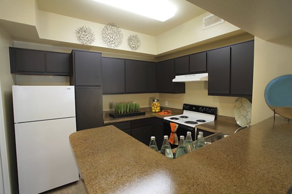 Modern kitchen with stainless steel appliances in Parc at Wall Street Apartments