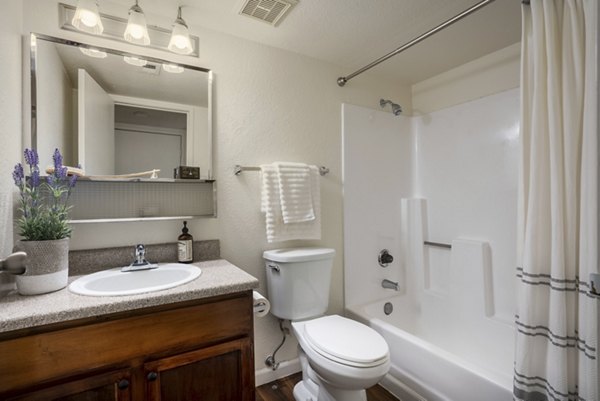 Modern bathroom with elegant fixtures at The Reserve Apartments suitable for luxury living in a Greystar community