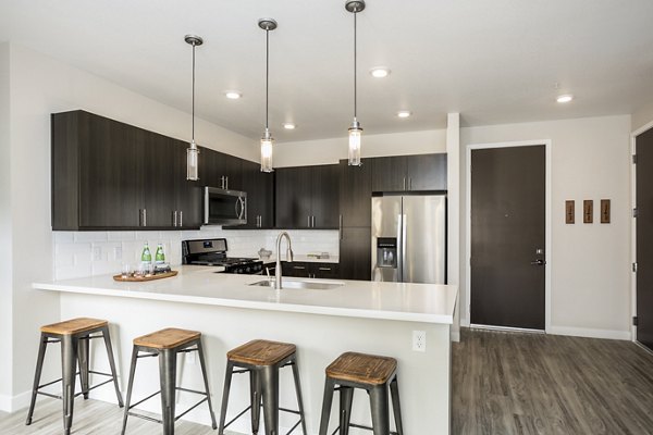 Modern kitchen featuring stainless steel appliances at Solana Olde Town Station Apartments, Greystar luxury apartments