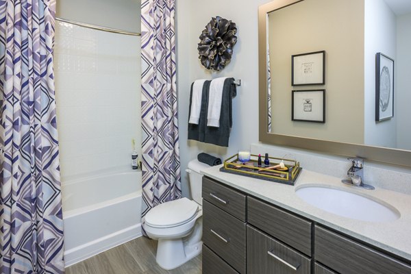 Elegant bathroom with modern fixtures at Cadence Music Factory Apartments, offering luxurious living spaces in a vibrant community