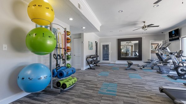 fitness center at The Weathersby at Station Circle Apartments
