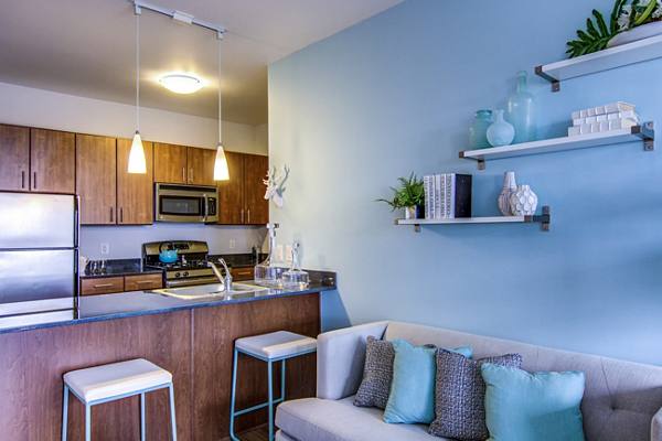 kitchen at LPM Apartments