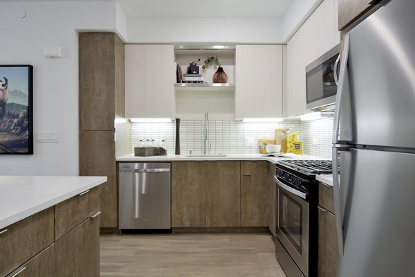 Sleek modern kitchen with stainless steel appliances at The Martin Apartments, luxury living in the heart of the city