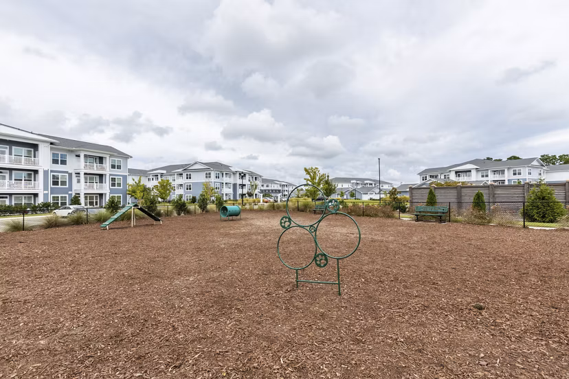 Dog park with agility equipment at Element Barclay Apartments