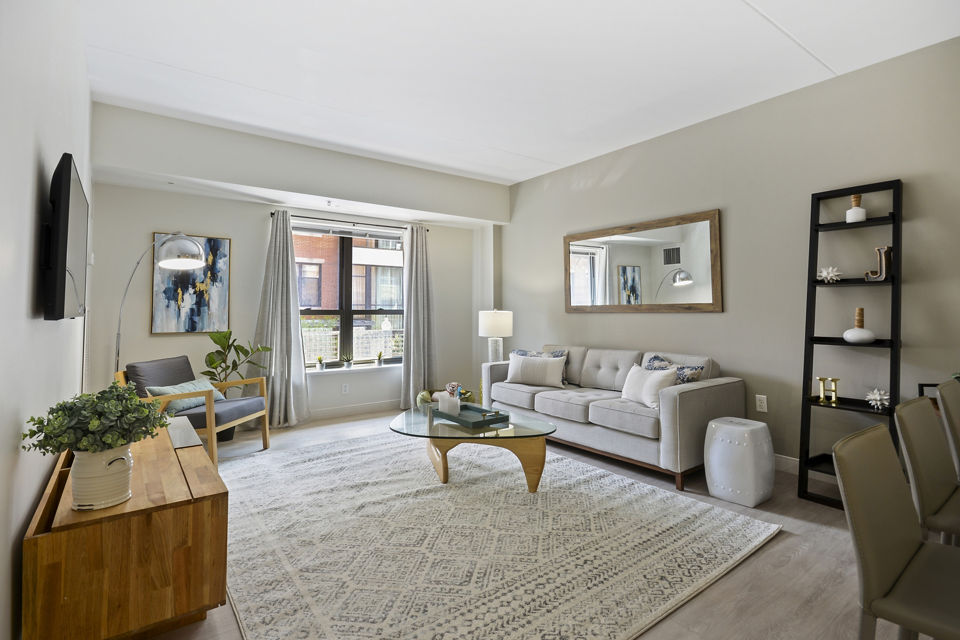 Contemporary living room with chic decor at James and Harrison Court Apartments