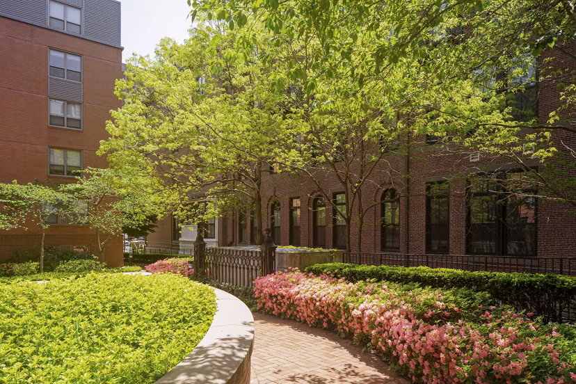 Elegant courtyard with lush greenery at James and Harrison Court Apartments, offering serene outdoor space in a luxury setting