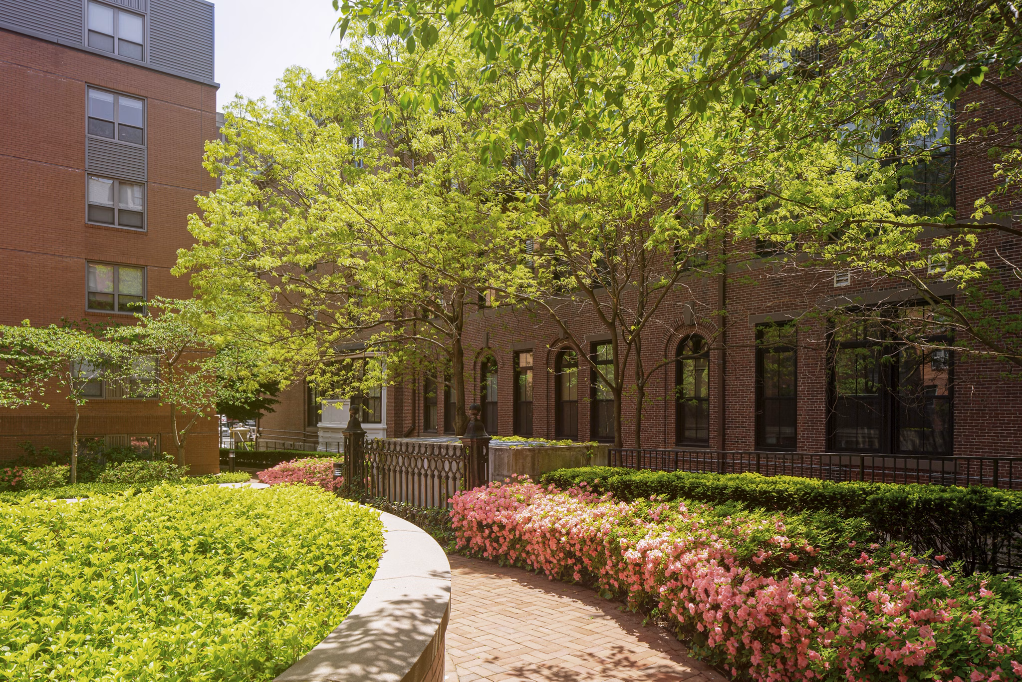 Elegant courtyard with lush greenery at James and Harrison Court Apartments, offering serene outdoor space in a luxury setting