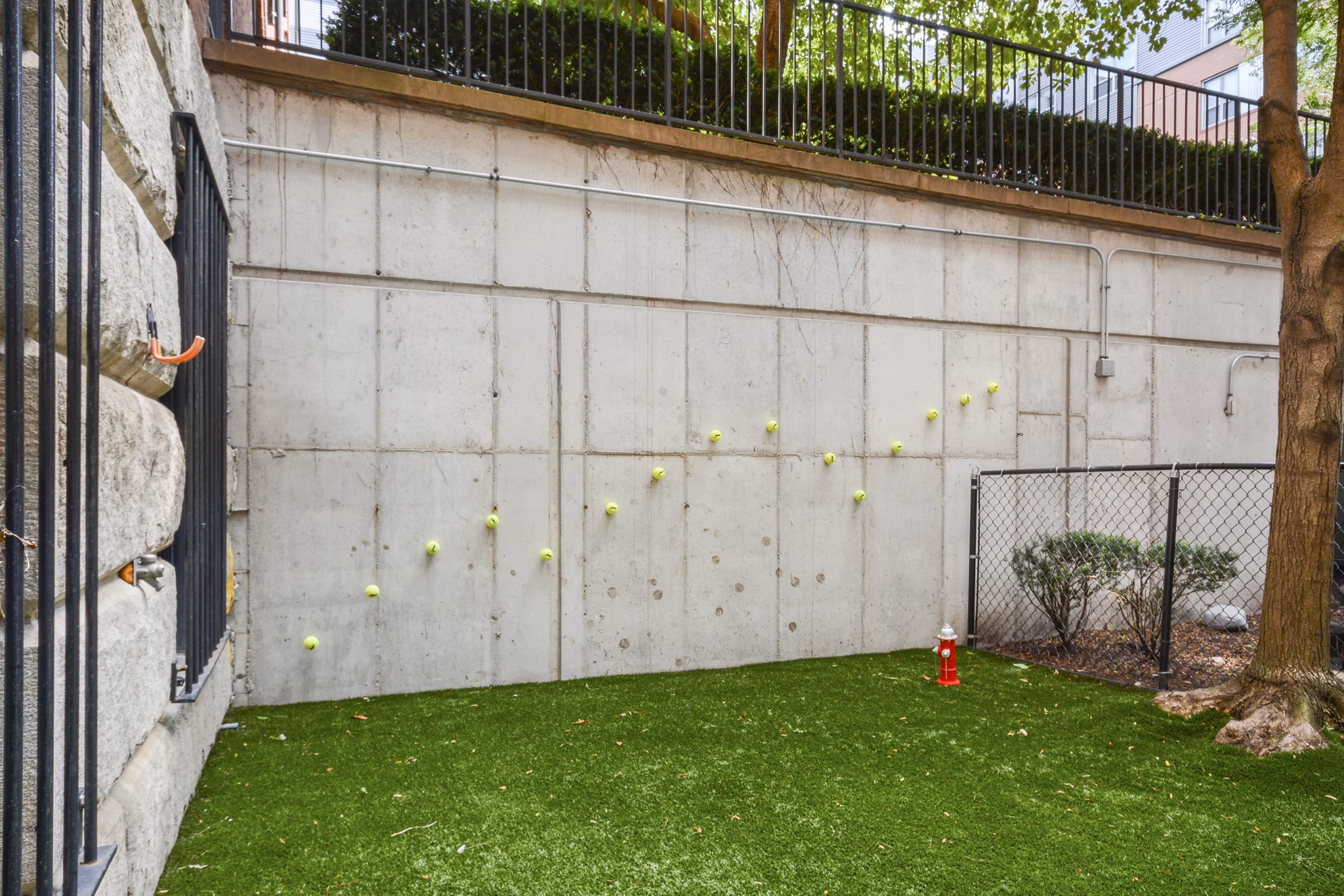 Dog park at James and Harrison Court Apartments offering spacious play area for pets to enjoy outdoor activities