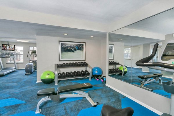 fitness center at Magnolia Ridge Apartments