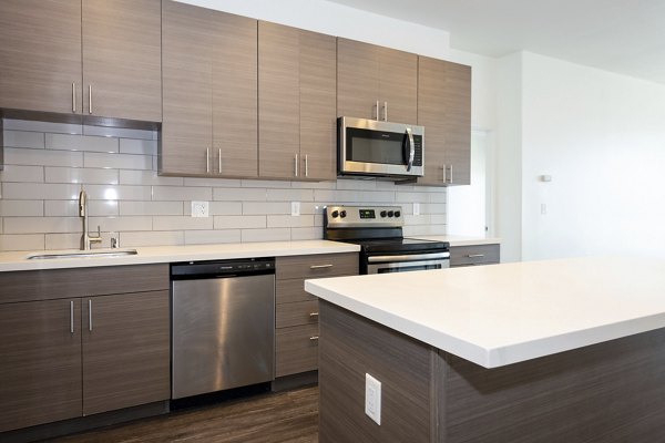 Modern kitchen with stainless steel appliances at 1122 U Apartments