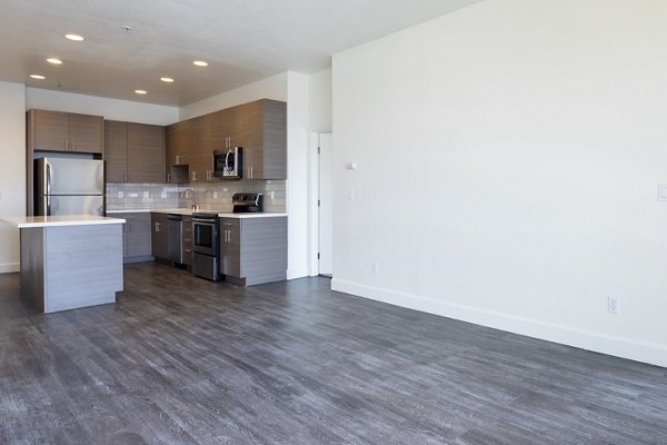 Modern living room with stylish decor at 1122 U Apartments, featuring luxury finishes and open-concept design