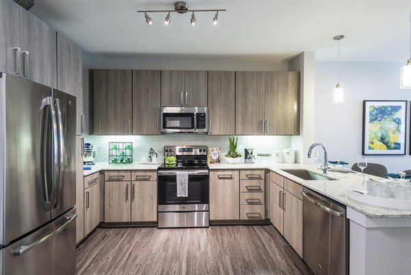 Modern kitchen with sleek countertops and stainless steel appliances at Overture Domain, Greystar's luxury apartments in a prime location