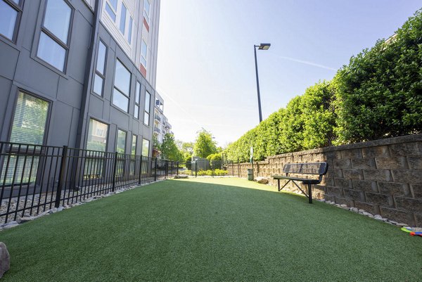 Dog park with agility equipment at 30Six NoDa Apartments, ideal for pet-friendly living in this vibrant community