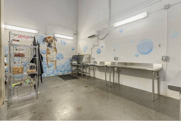 dog wash station at 30Six NoDa Apartments