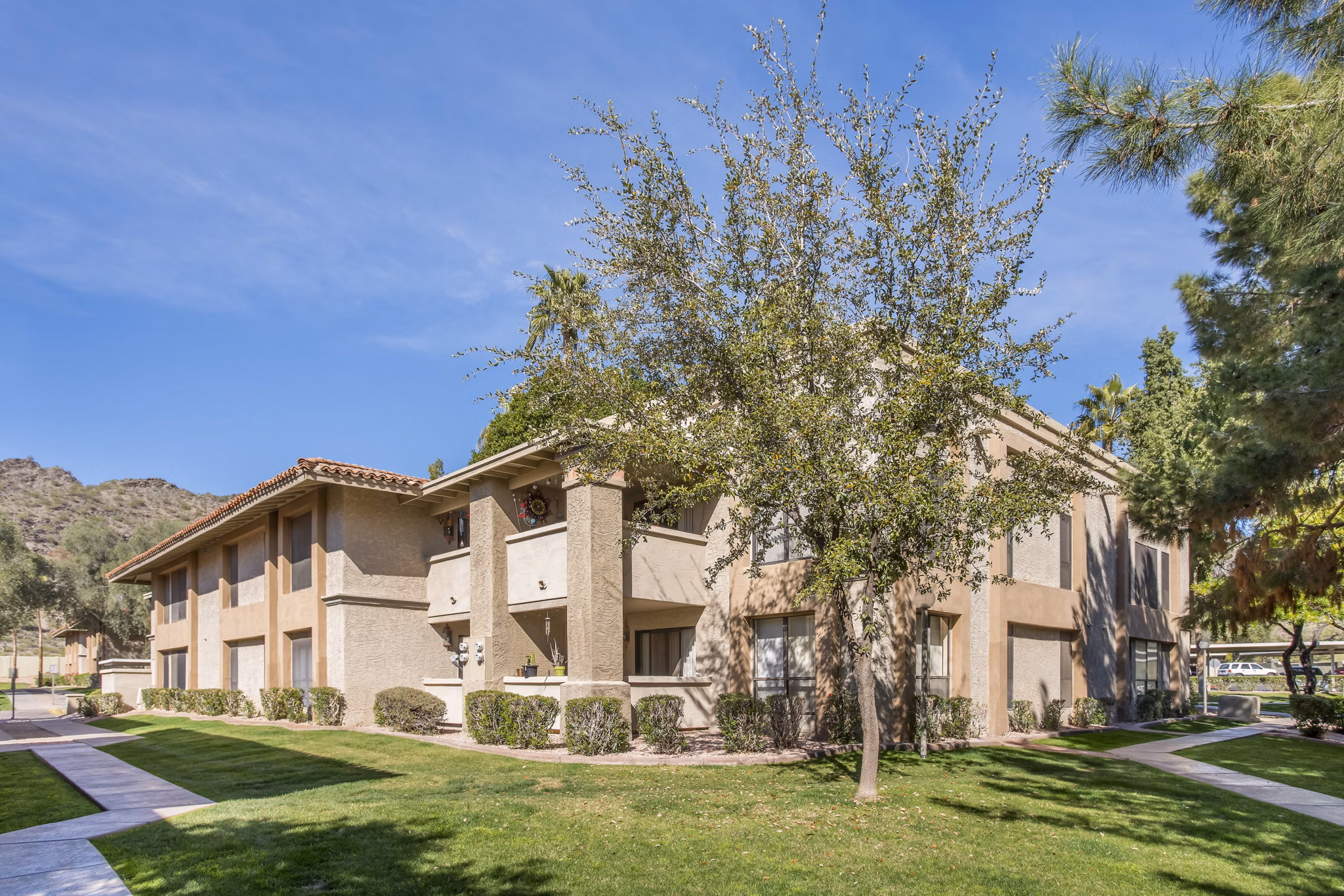 Avana at the Pointe: Stylish view of luxury apartments in a serene community setting