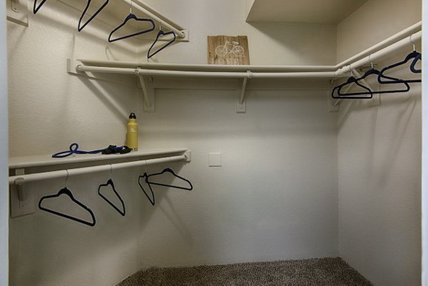 Walk-in closet with ample shelving at Avana at the Pointe Apartments