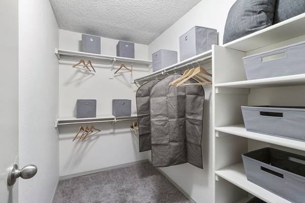 bedroom closet at Alvista Trailside Apartments                                                     