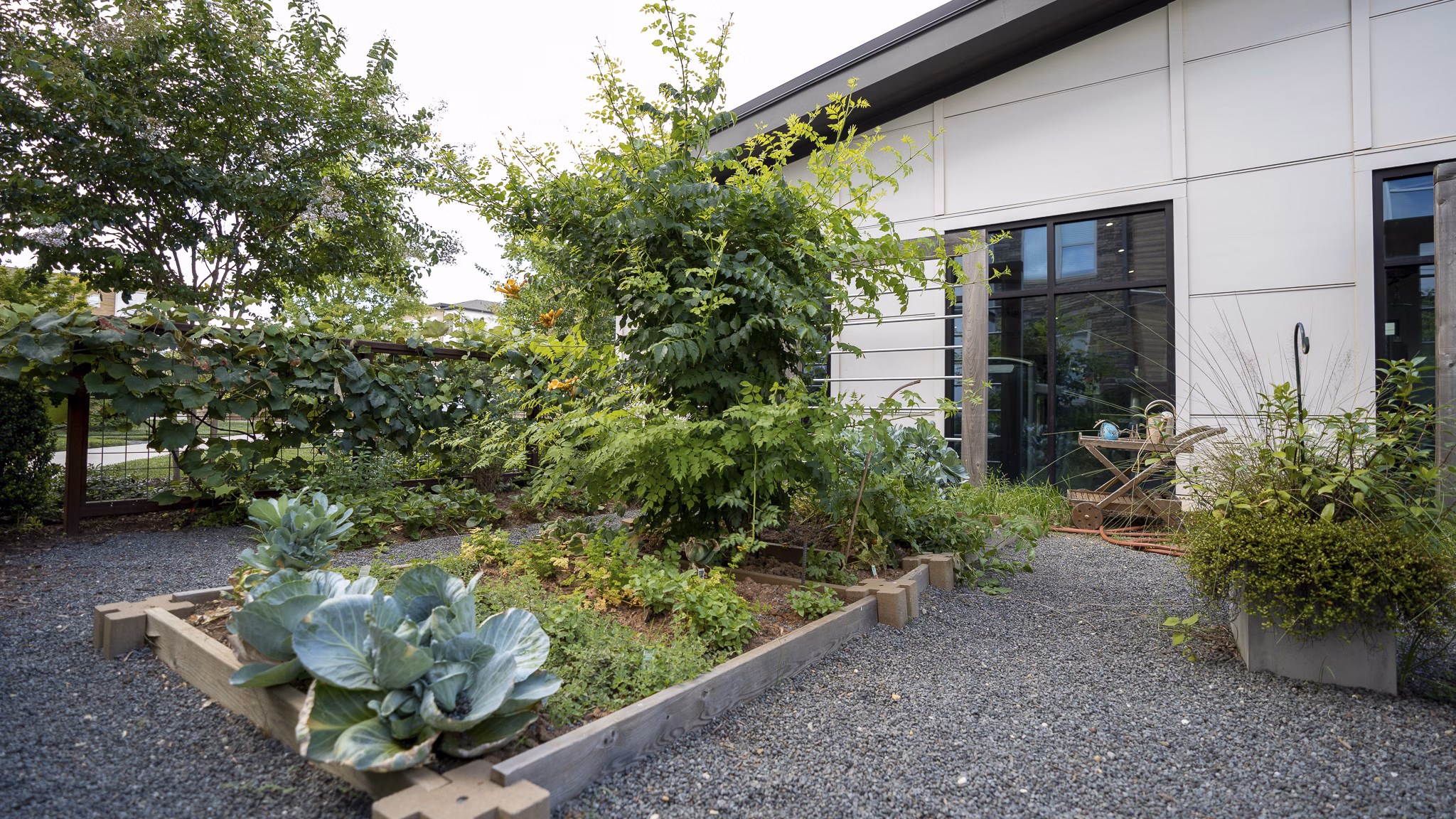 The Sawyer Providence Farm: Serene courtyard with lush greenery at luxury apartments
