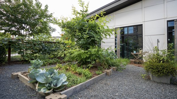 The Sawyer Providence Farm: Serene courtyard with lush greenery at luxury apartments