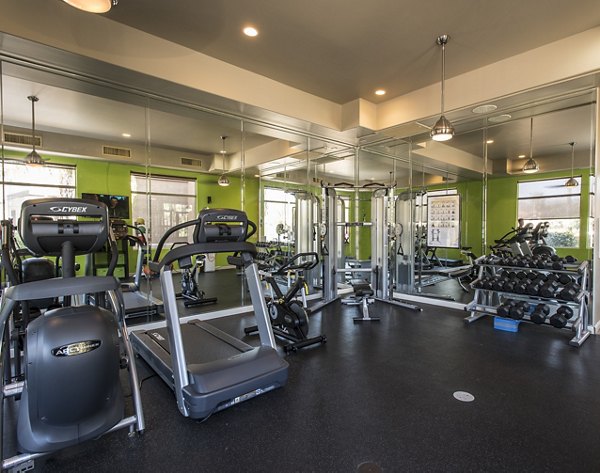 Fitness center equipped with modern workout machines at Santa Rosa Apartments, a Greystar luxury property in Santa Rosa