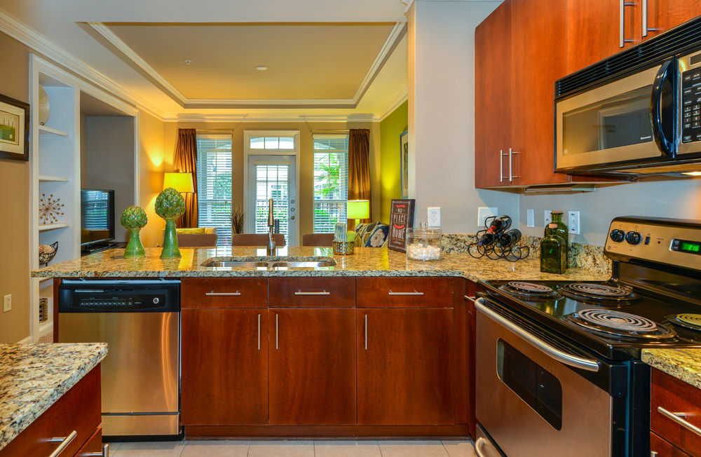 Avana City North Apartments Atlanta Ga 6 of 12