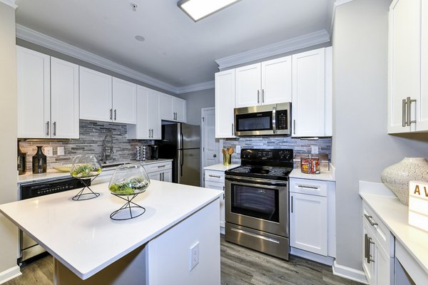 kitchen at Avana City North Apartments 