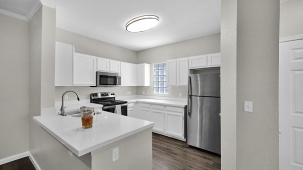 kitchen at San Paulo Apartments