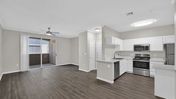 kitchen at San Paulo Apartments