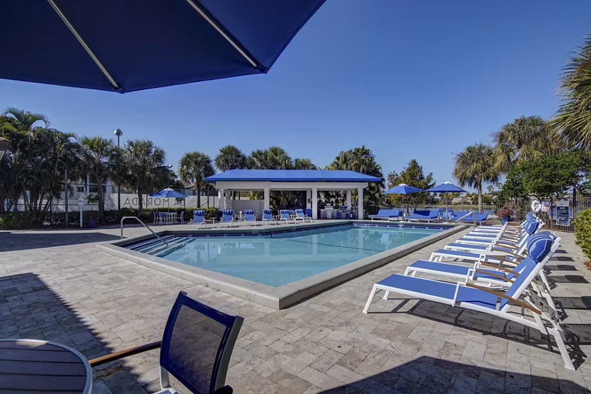 La Morada at Weston: Modern pool with lush surroundings in luxury apartments