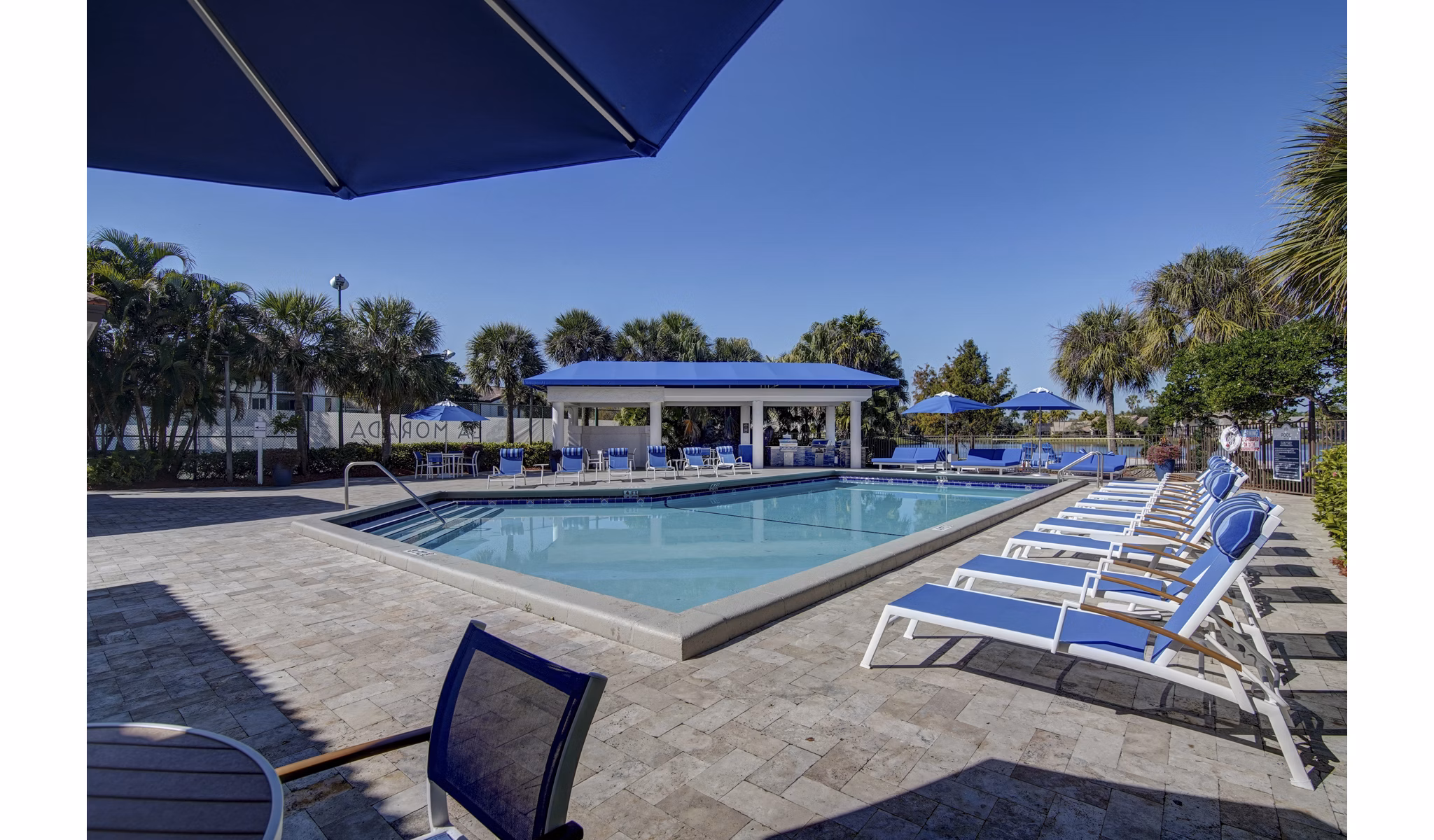 La Morada at Weston: Modern pool with lush surroundings in luxury apartments