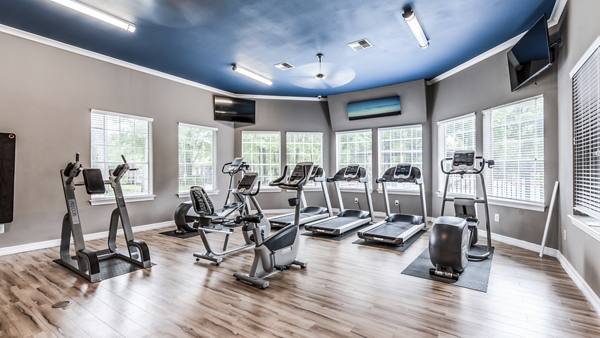 fitness center at The Villages of Cypress Creek Apartments