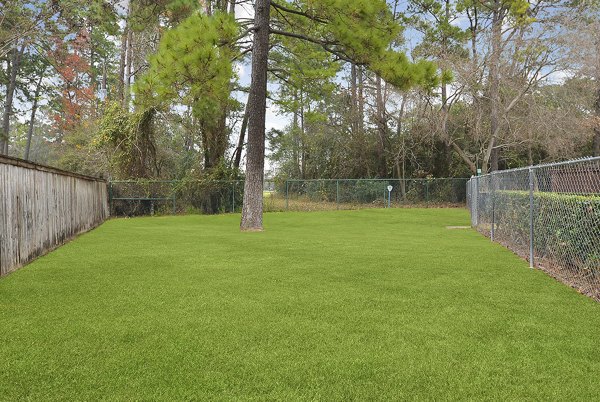 dog park at The Villages of Cypress Creek Apartments