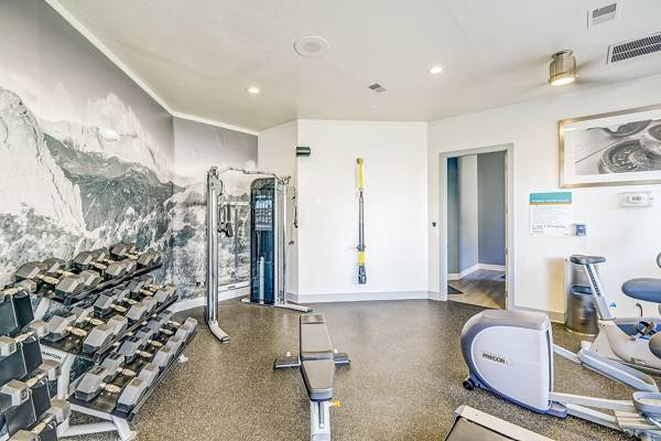 fitness center at Commons at Briargate Apartments 