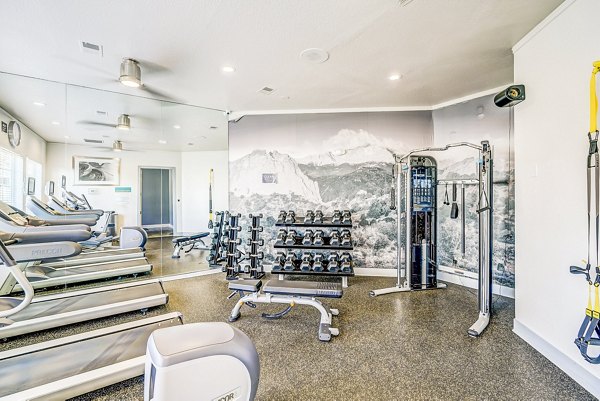 Modern fitness center featuring state-of-the-art equipment at Commons at Briargate Apartments