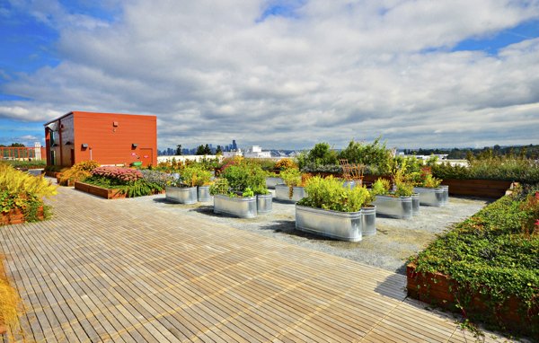 Rooftop garden with lush greenery at Aura West Seattle Apartments, offering stunning skyline views in luxury urban living