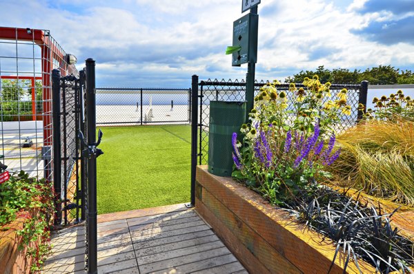 Dog-friendly space featuring a fenced dog park at Aura West Seattle Apartments