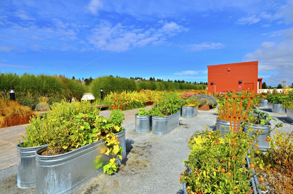 Rooftop garden with lush greenery and seating at Aura West Seattle Apartments