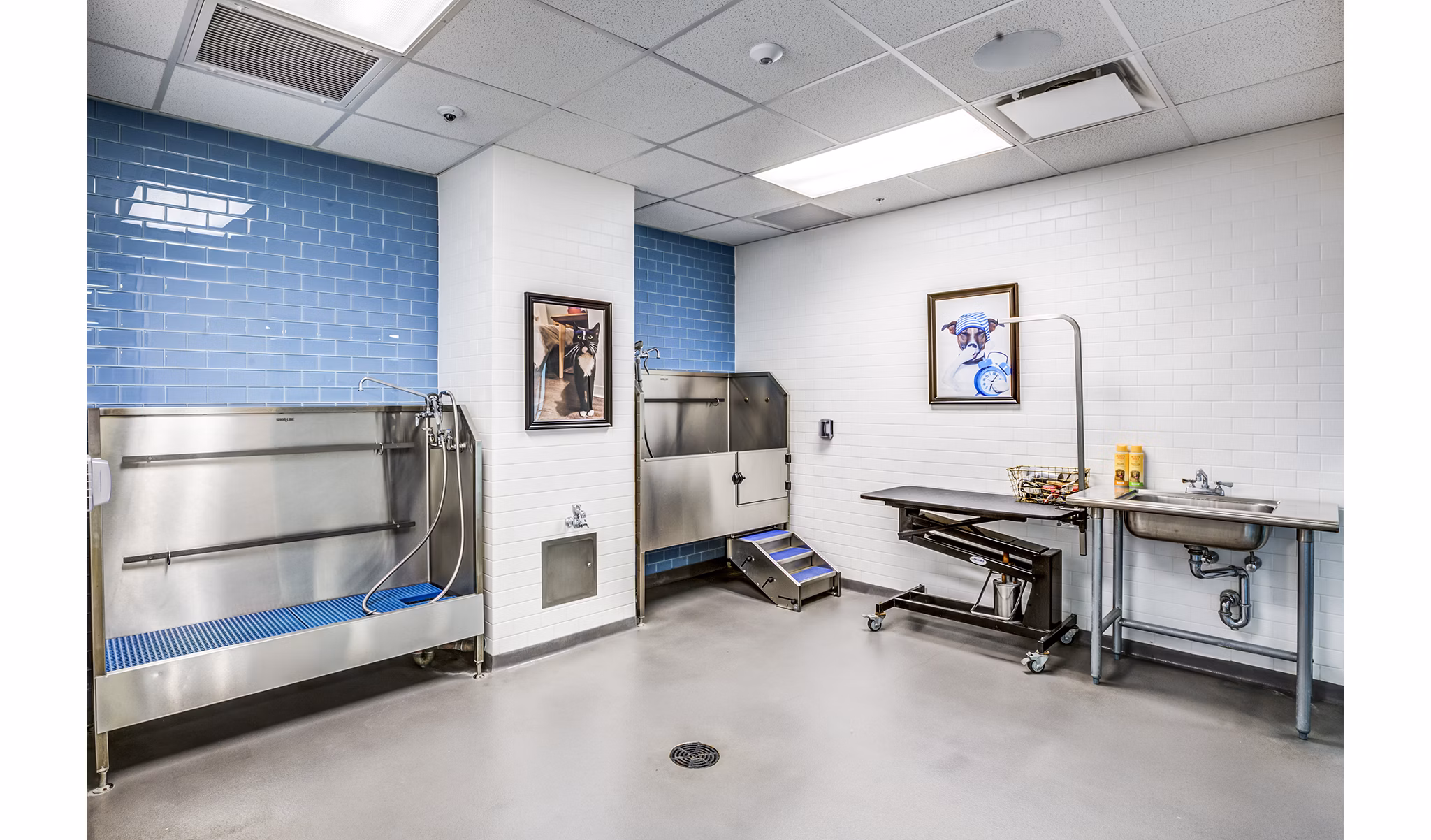 Dog wash station at Zinc Apartments: Modern pet-friendly amenity for residents