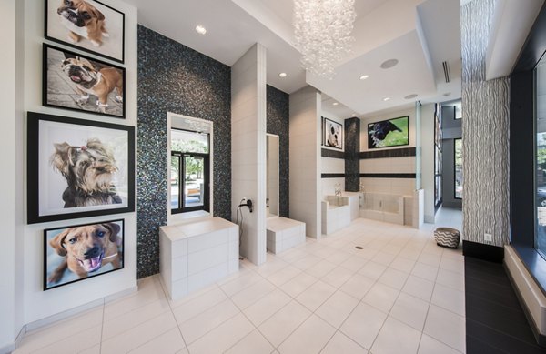 Convenient dog wash station at Latitude Apartments, perfect for pet-friendly living in our luxury community