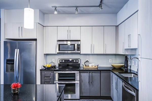 Modern kitchen with stainless steel appliances in Latitude Apartments, offering luxury living in a premier community