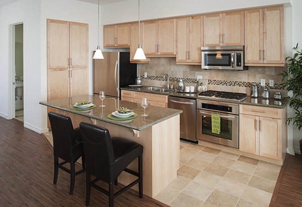 Modern kitchen with stainless steel appliances at Forty55 Lofts luxury apartments