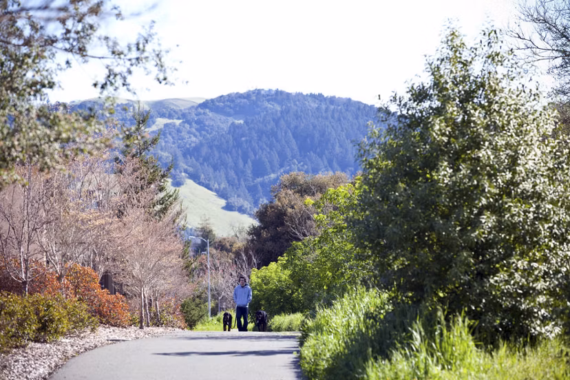 Person walking two dogs on a scenic path with trees and hills near luxury apartments